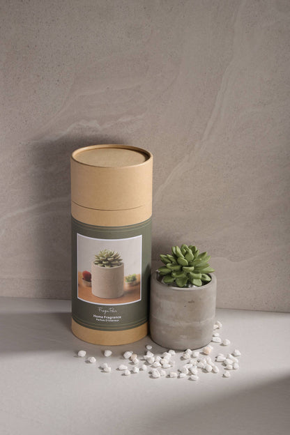 Succulent in Planter Diffuser Gift Set for Home Decor