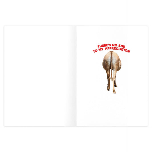 Big Ass Thank You Card