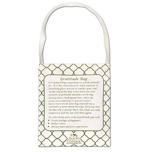 Gratitude Bag - Note Pad and Pen  Dragonfly