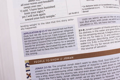 NIV Application Bible Leathersoft Red Letter Comfort Edition
