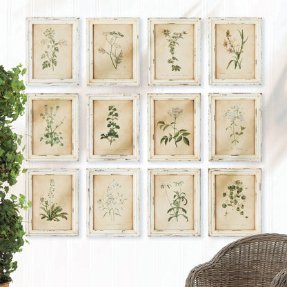 Framed Wild Flower Botanical Prints -Assorted- Sold Separately