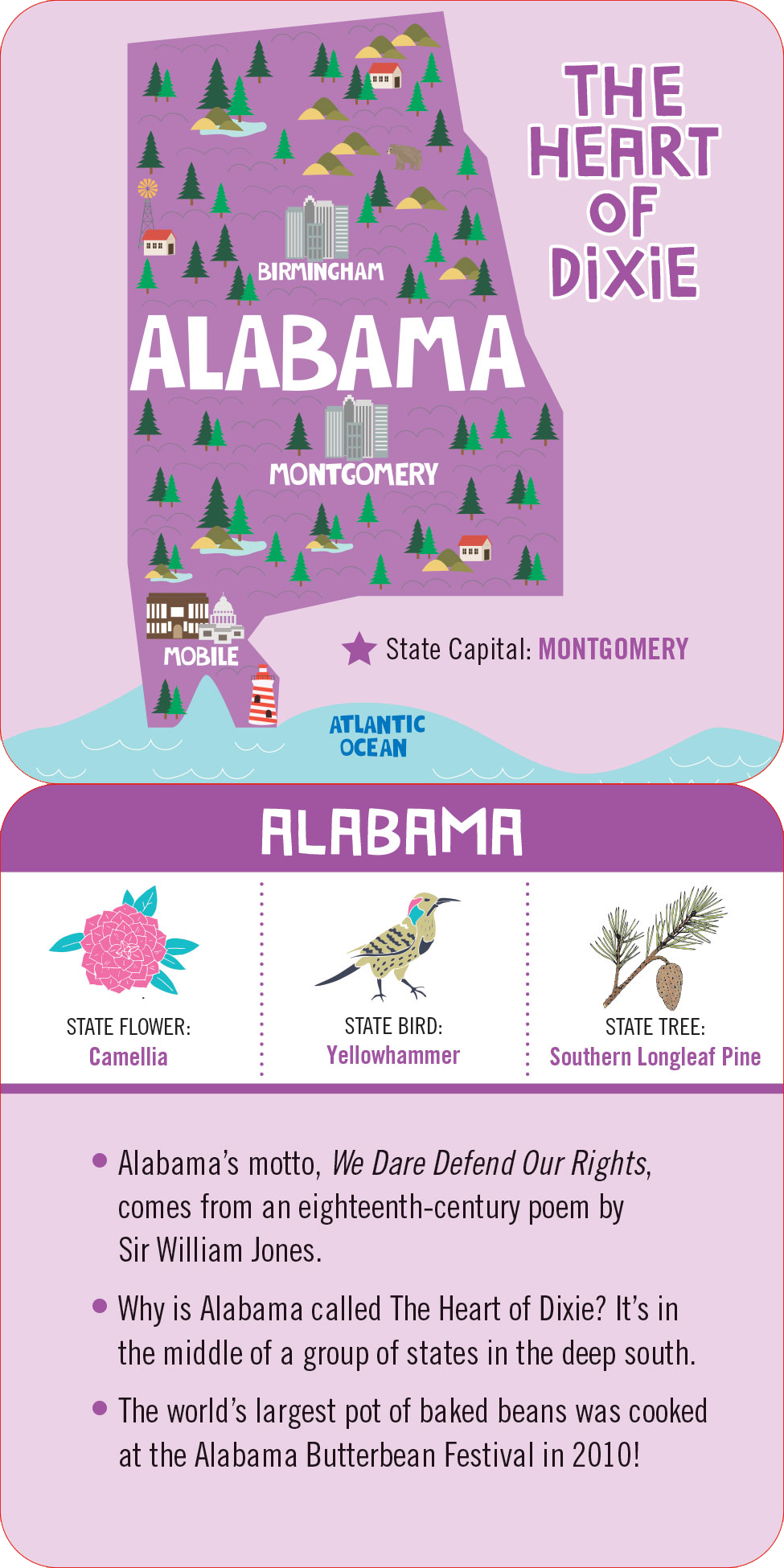 Lunch Box Notes for Kids-USA