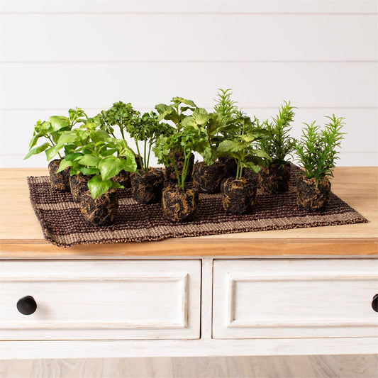 Herbs In Soil Unpotted Sold Separately