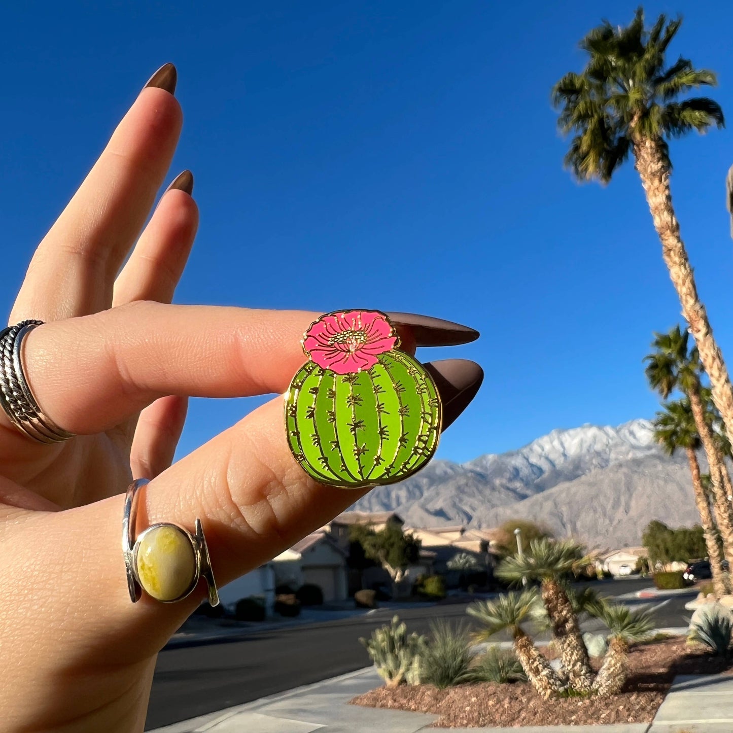 Cactus Barrel Enamel Pin