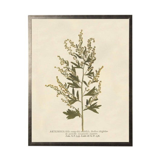 Vintage Neutral Flower Art On Ivory Background