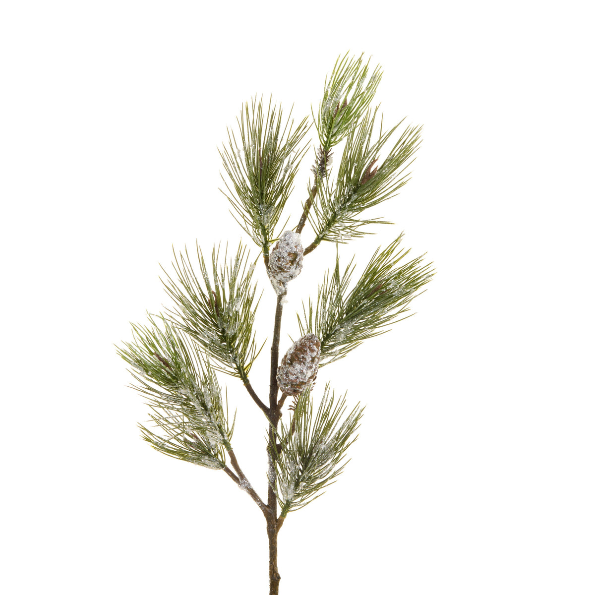 Flocked Long Needle Pine Branch, A long green pine branch with frosted, snow-dusted needles and small frosted pinecones on a brown stem.