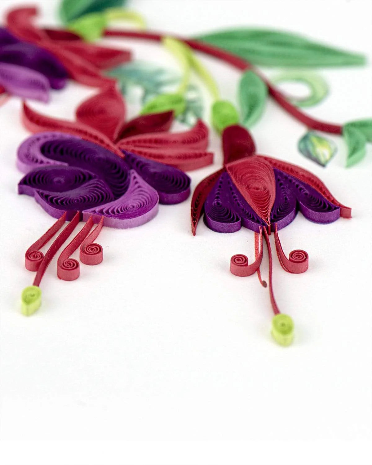 QuillingCard Fucsia