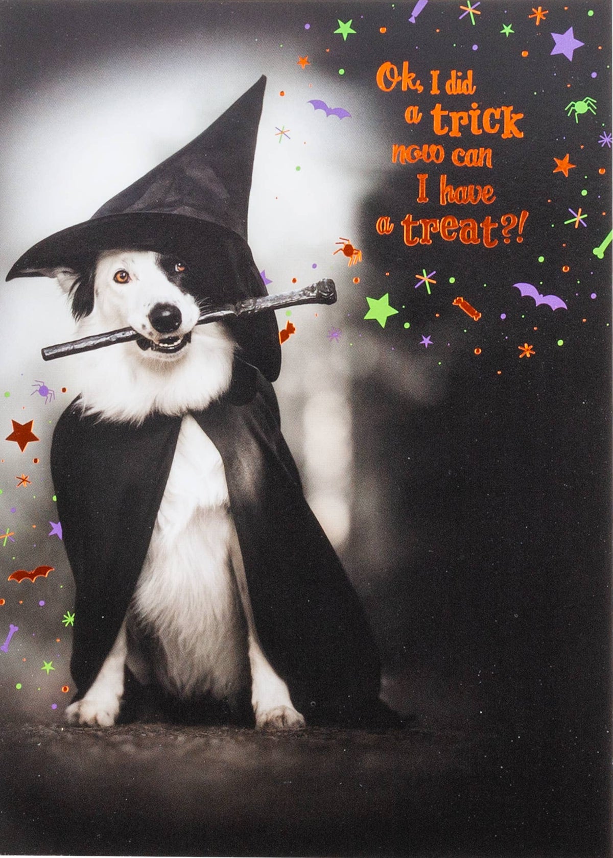 Hocus Pocus Hound Greeting Card, Front of a Halloween card showing a black and white dog in a pointed black witch hat and cape holding a wand in its mouth, with the words Ok, I did a trick now can I have a treat in orange lettering and scattered stars, bats and spiders.