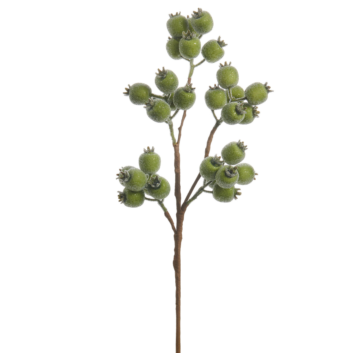 Iced Green Berry Spray, The photo shows a branching stem of round green berries with a frosted, icy texture and small dark crowns.