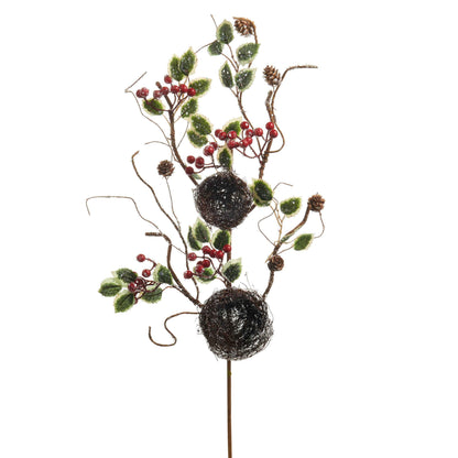 Iced Holly Spray with Vine Nests