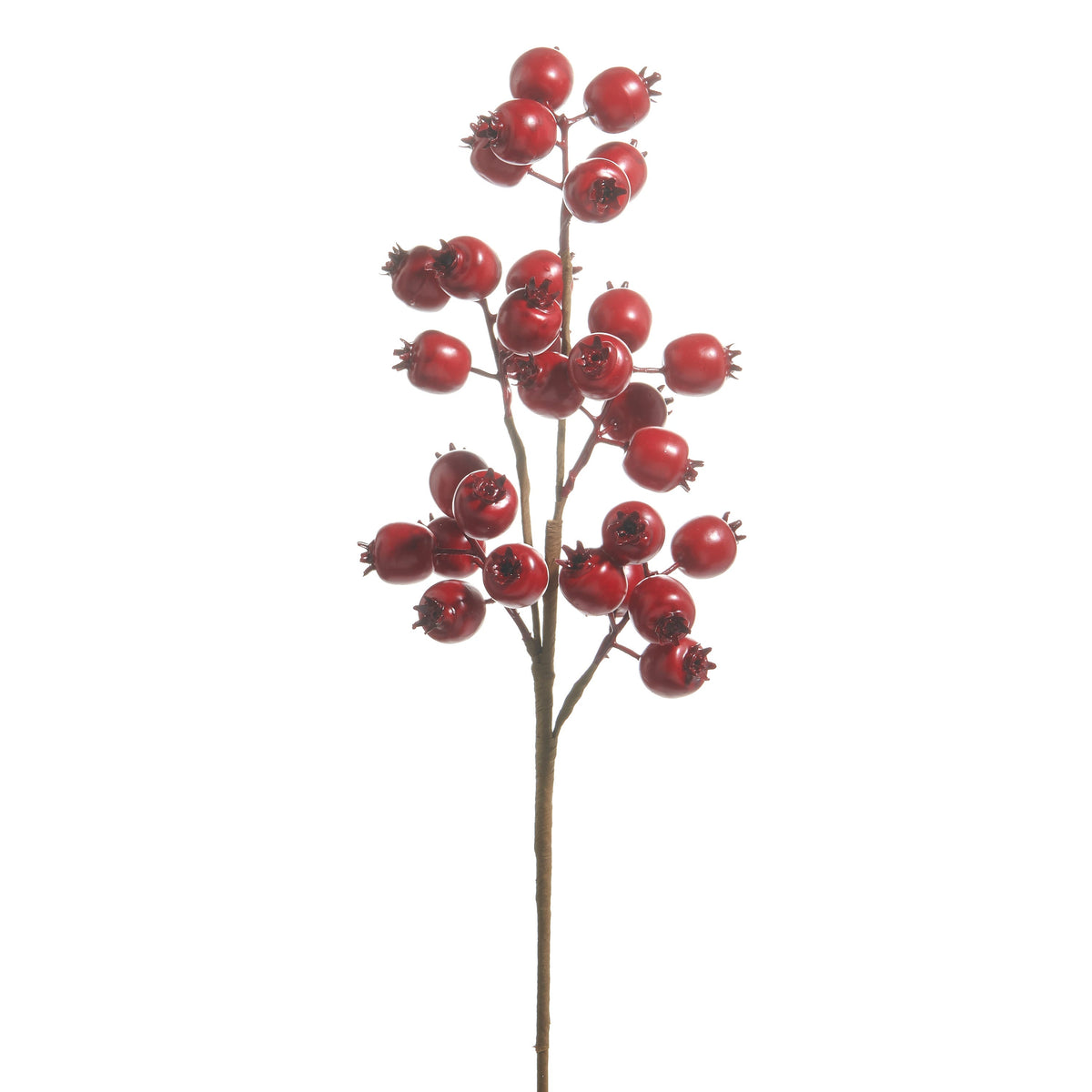 Matte Red Berry Pod Spray, The photo shows a single branching stem covered in round, matte deep red berries with small dark crowns at the top of each one.