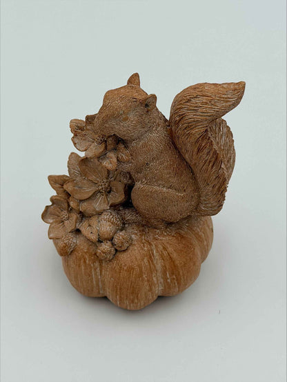 Squirrel on a Pumpkin