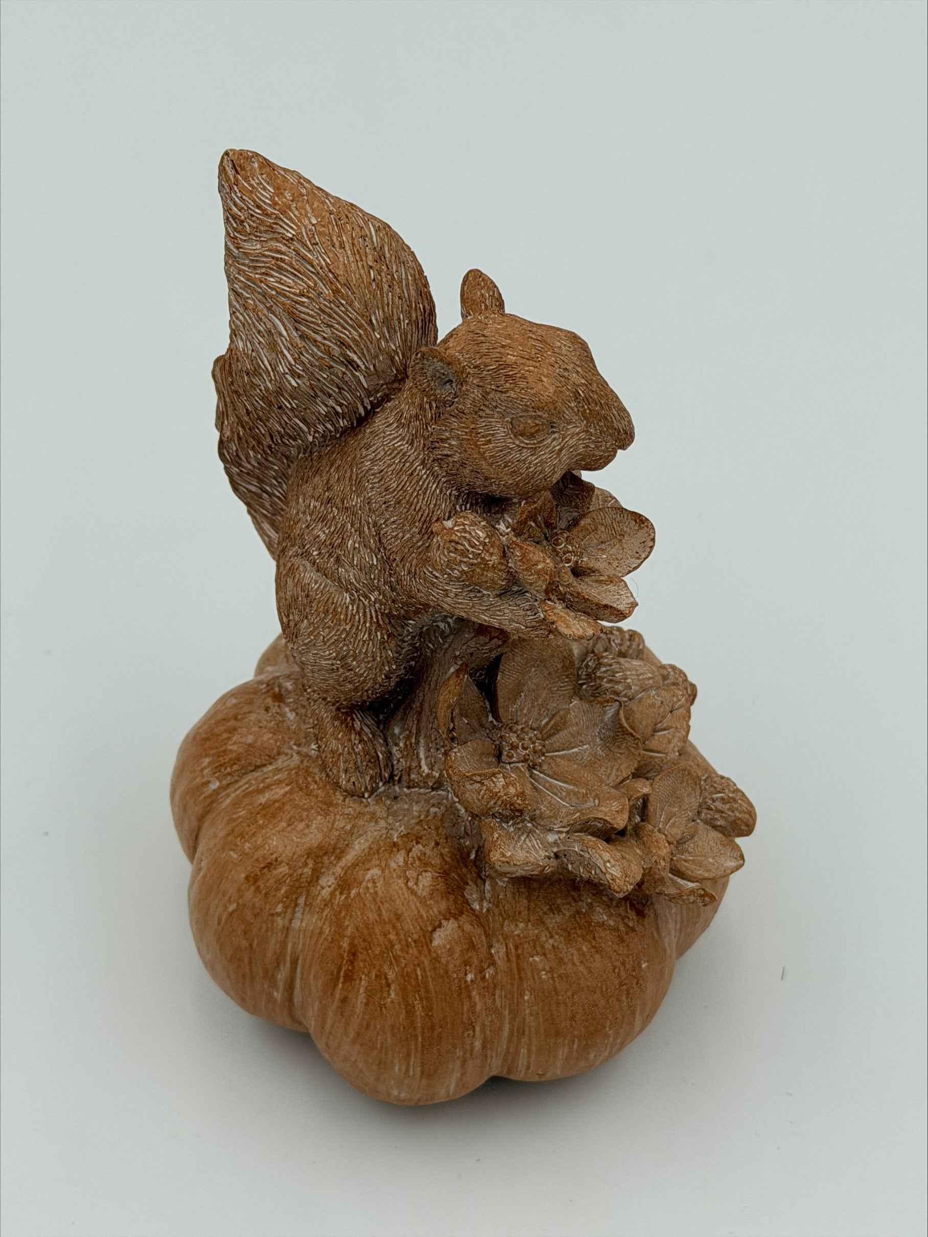 Squirrel on a Pumpkin