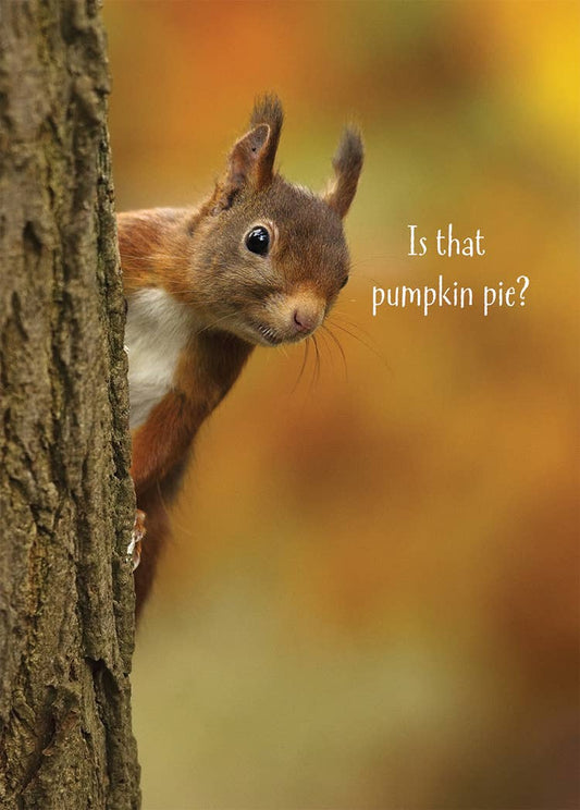Pumpkin Pie Squirrel Greeting Card, Photograph of a squirrel with tufted ears peeking around a tree trunk against a blurred orange and gold background, with the white caption Is that pumpkin pie? at the right.