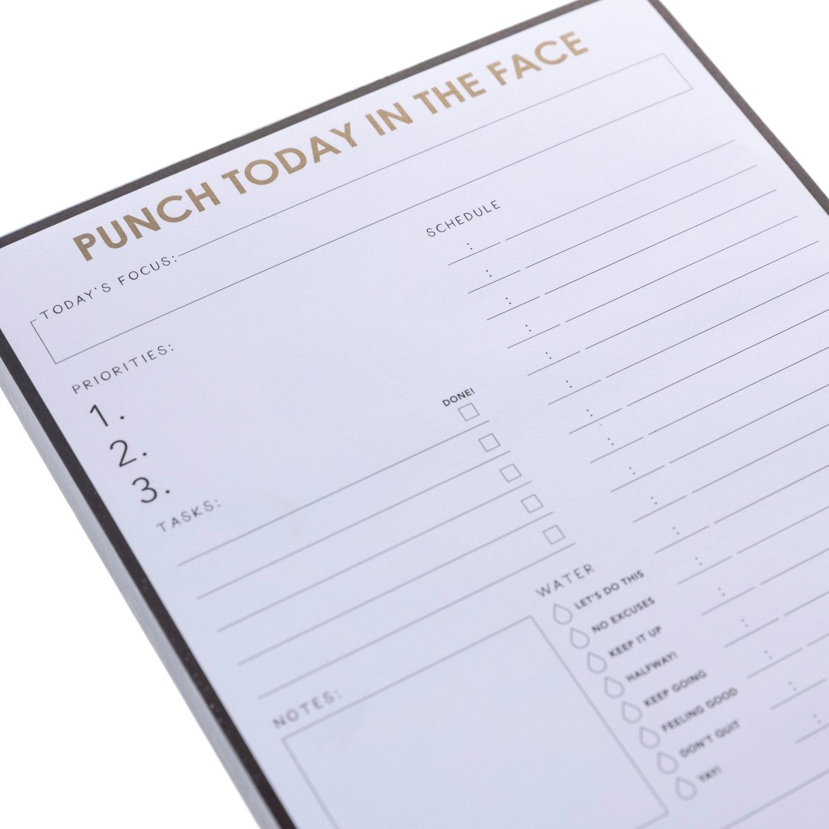 Punch Today Large Notepad, A black-bordered notepad printed 'Punch Today In The Face' in gold foil above sections for priorities, schedule, water, meals, and self-care.