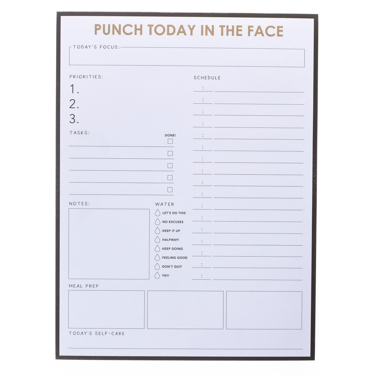 Punch Today Large Notepad, A black-bordered notepad printed 'Punch Today In The Face' in gold foil above sections for priorities, schedule, water, meals, and self-care.