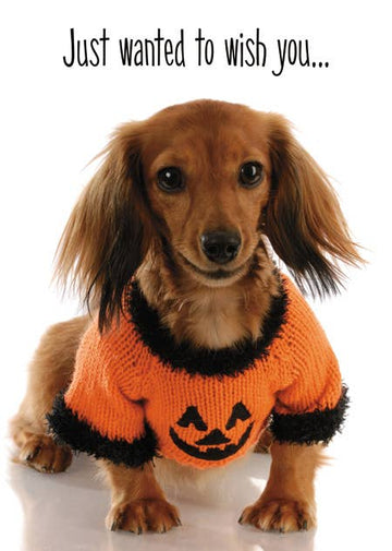 Puppy In Pumpkin Sweater Greeting Card