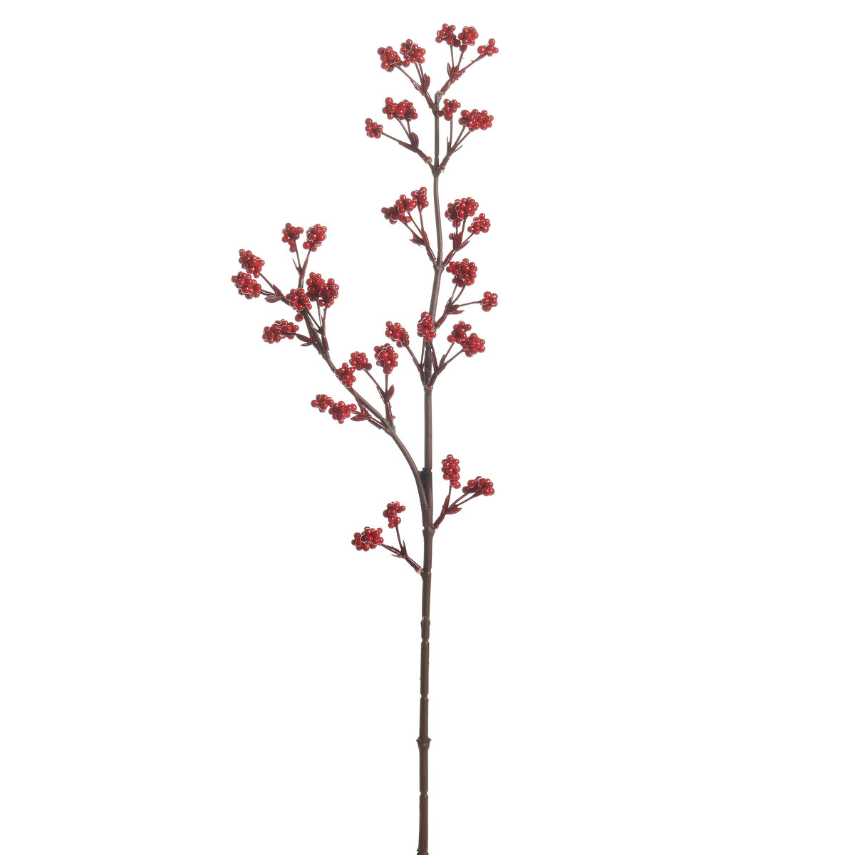 Red Berry Spray, A single-stem red berry spray with berries spaced loosely along its length.