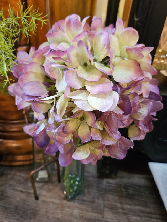 TK Hydrangea Green or Green & Purple