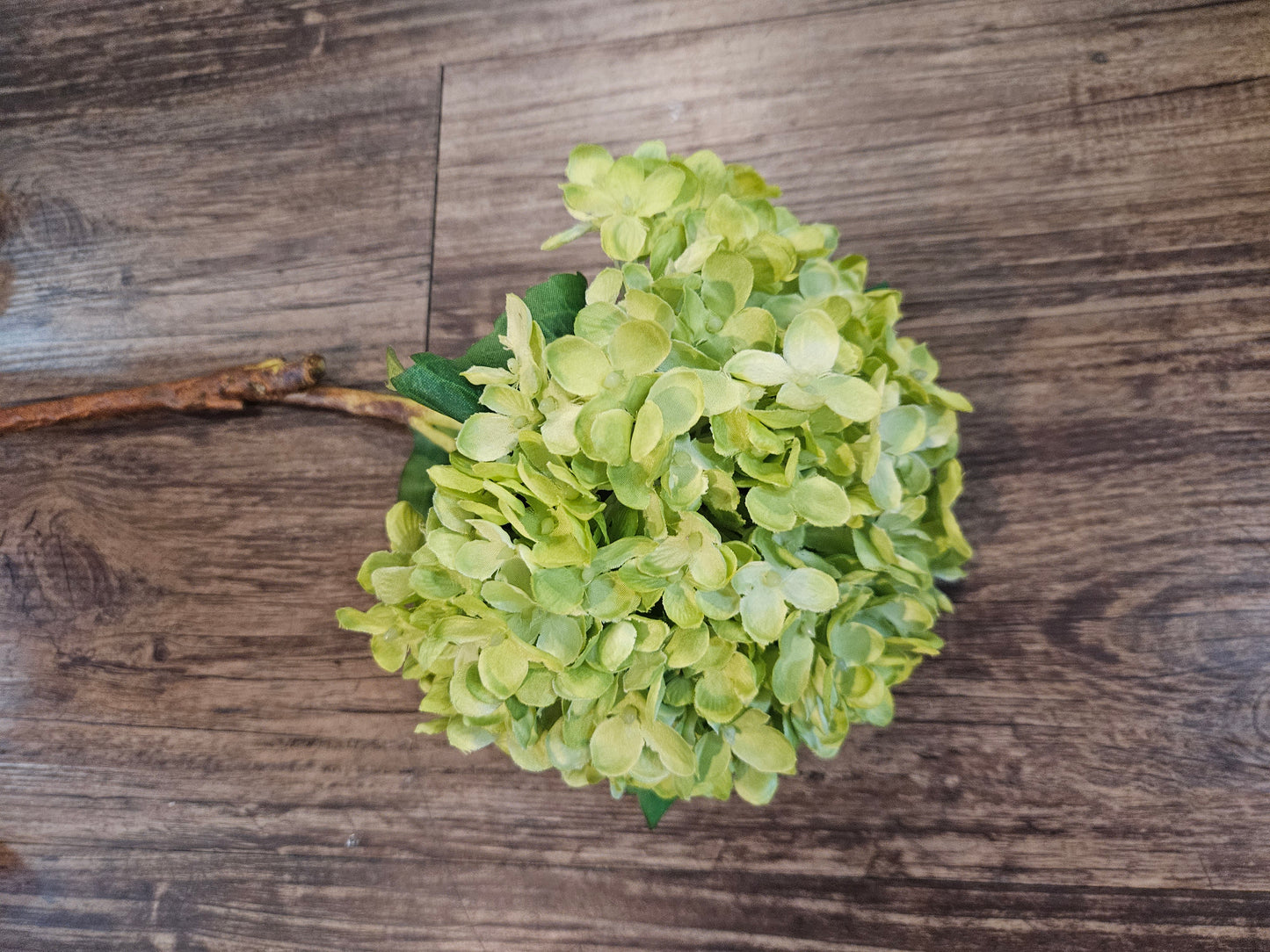 TK Hydrangea Green or Green & Purple