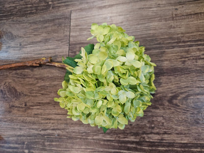 TK Hydrangea Green or Green & Purple