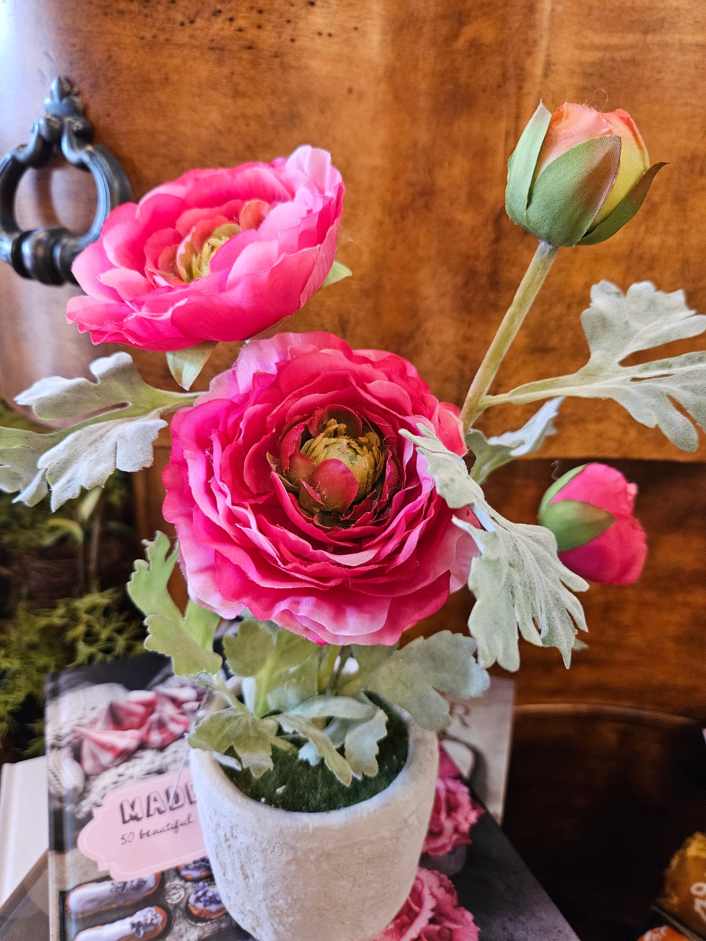 14 Inch Pink Ranunculus in Clay Pot