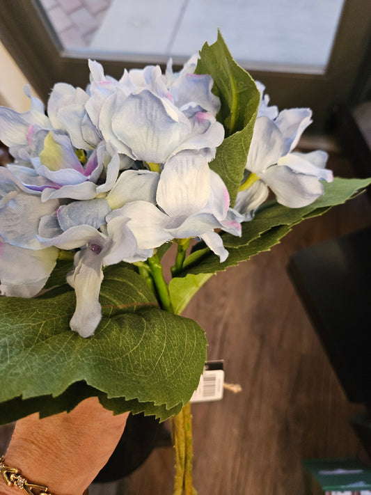 15 In Blue Hydrangea Bundle 3 Stems