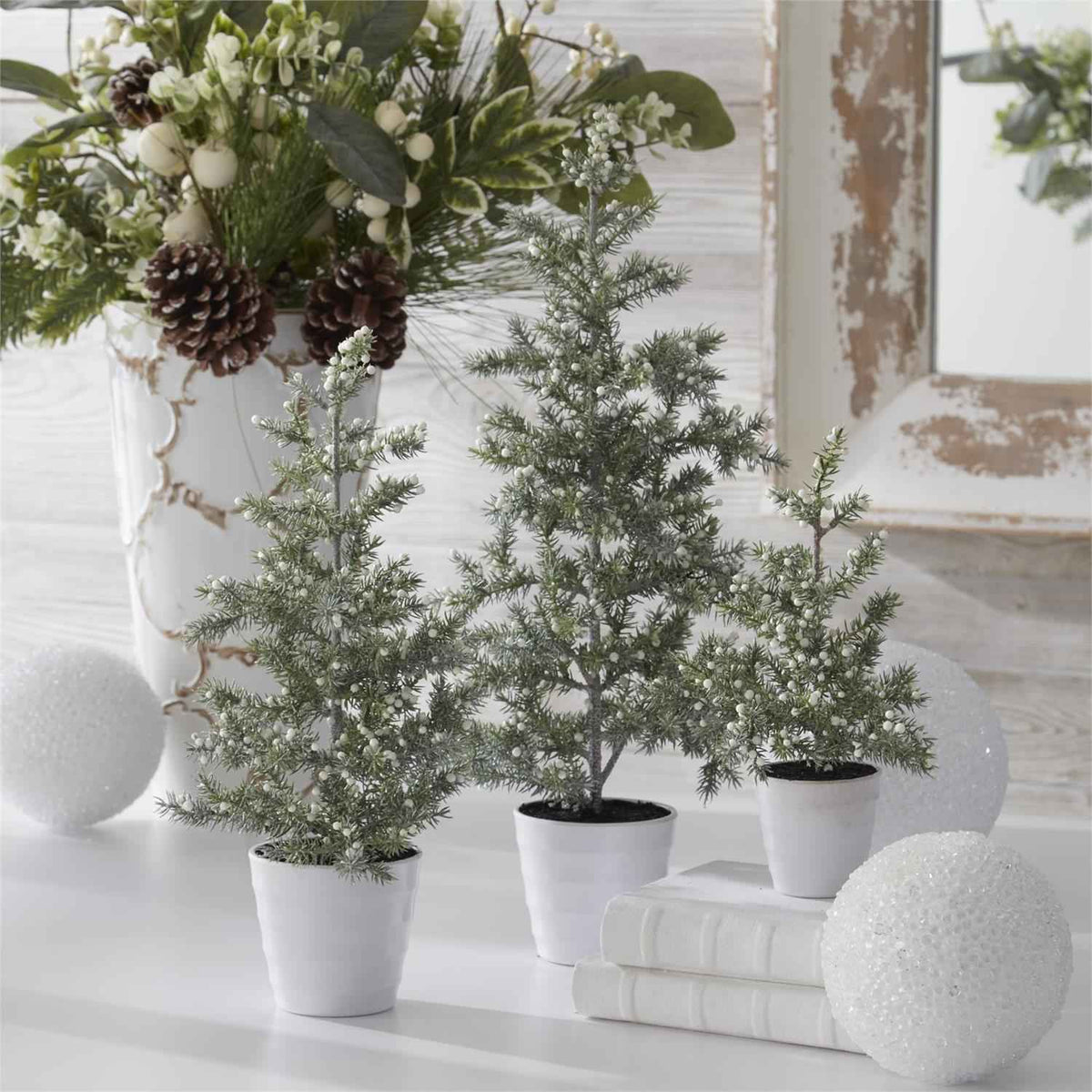 Juniper Trees with White Berries in White Ribbed Pot, Set of 3