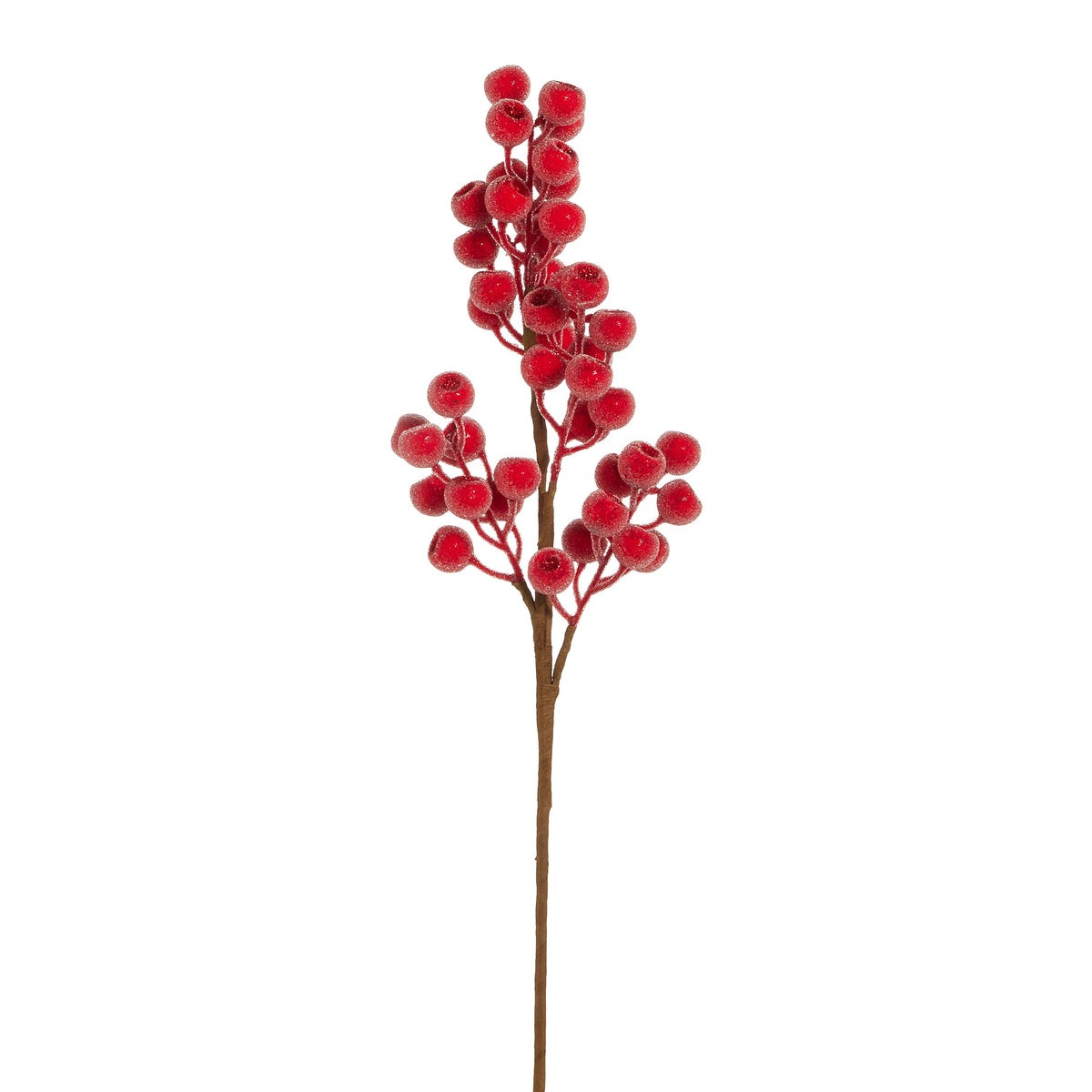 Sugared Bright Red Berry Spray, The photo shows a branching stem of bright red berries coated in a fine sugared texture.
