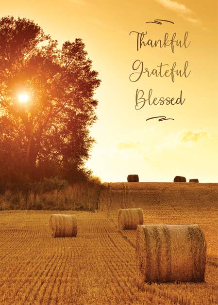 Wheat Field Harvest Greeting Card